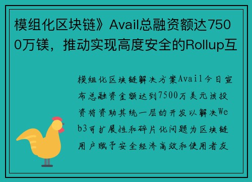 模组化区块链》Avail总融资额达7500万镁，推动实现高度安全的Rollup互通性和资料可用性