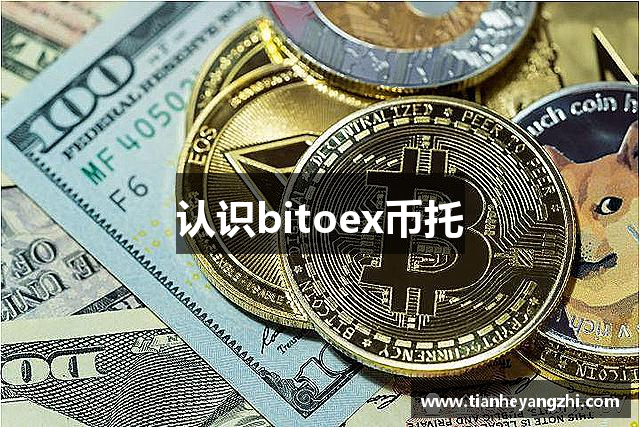 认识bitoex币托